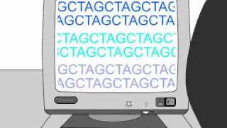 How to Sequence a Genome 11 Working Draft Sequence [upl. by Horick]