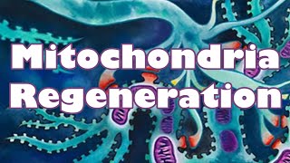 ❉ Powerful Mitochondria Rejuvenation  High Energy  Best Health  Youth  Relaxing Ocean Sounds [upl. by Thompson]