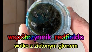 97 Współczynnik Redfielda  Walka z zielonym glonem  Akwarium morskie  Reef aquarium [upl. by Bertila]