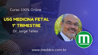 Curso de USG Ultrassom Medicina Fetal [upl. by Berte]