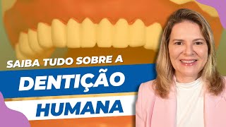 Dentição Humana Completa  Anatomia para Você [upl. by Wiedmann]