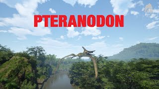 THE ISLE EVRIMA  PTERANODON GAMEPLAYSHOWCASE [upl. by Anatola]