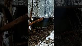 Solo Jungle Shelter Secrets from a Survival Expert shorts viral survival bushcraft outdoor [upl. by Temme169]