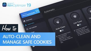 Ashampoo WinOptimizer 19  AutoClean and manage save cookies [upl. by Rodi]