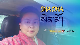 Sha dha semo  Chencho Dorji  Lhaki Dolma  Bhutanese sad song  Lyrics video  ཤ་དང་སེན་མོ།། [upl. by Reiter]