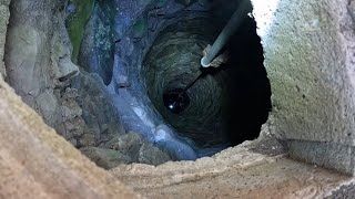 GoPro Dropped In Stone Lined Water Well  Poor Hideous Creatures Appear [upl. by Ydennek]