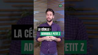 La cédille quotpetit Zquot  shorts culture histoire incroyable français ça langue apprendre [upl. by Auj]