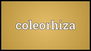 Coleorhiza Meaning [upl. by Eagle93]