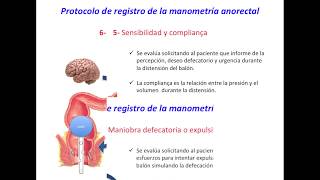 Manometría anorectal [upl. by Iadahs]