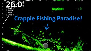 Fishing For Winter Crappie on Lake Darbonne FullScreen LiveScope Fishing Footage Trip 15 [upl. by Howlond]