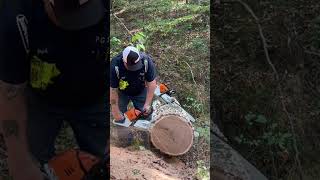 Bone stock Stihl ms500i stihl500i chainsaw 2stokelovers wood woodworking [upl. by Tammany798]