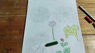 Instructions for creating beautiful color pictures from white paper and crayons  Part 21 [upl. by Iline]