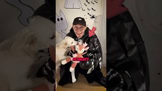 Ich habe das LIEBLINGSSPIELZEUG von meinem Hund entführt👻🙀 vlog hund halloween2024 [upl. by Patnode]