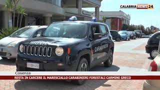 COSENZA RESTA IN CARCERE IL MARESCIALLO DEI CARABINIERI FORESTALI CARMINE GRECO [upl. by Bittencourt]