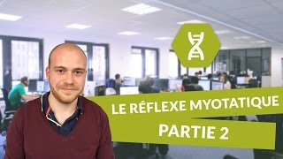 SVT BAC S  Le réflexe myotatique PARTIE 2 [upl. by Morgana]