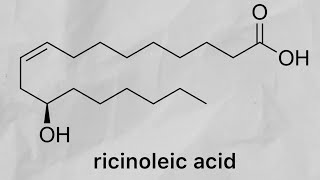 Ricinoleic acid from castor oil phenylacetylrinvanil part 2 [upl. by Leasim]