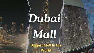 DUBAI MALL  BURJ KHALIFA  DUBAI LANDMARK  TALLEST BUILIDING amp BIGGEST MALL IN THE WORLD [upl. by Laleb]