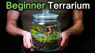 How To Make a Terrarium An InDepth Tutorial [upl. by Debo]