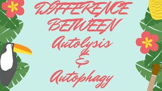 Difference between AUTOPHAGY amp AUTOLYSIS With TRICKS AND TIPS💡 [upl. by Anid]