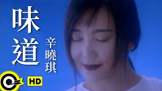 辛曉琪 Winnie Hsin【味道 Scent】Official Music Video [upl. by Eiliah]