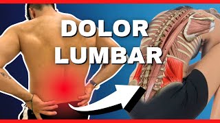 🔴 Los Mejores 5 Ejercicios para Mejorar Tu DOLOR LUMBAR ¡NO TE QUEDES PILLADO [upl. by Odlavso842]