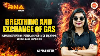 Breathing and Exchange of Gases  NEET 2025 amp 2026 Biology  Zoology  Gopika Maam [upl. by Oilalue]