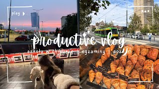 PRODUCTIVE VLOG  szkoła w chmurze egzaminy Poznań nauka [upl. by Ahsotal]