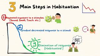 Habituation mini lecture [upl. by Oppen]