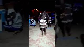 Dingi Dingi dance Beautiful Acholi Cultural dance dance duet africanculture [upl. by Clift]