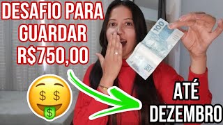 COMO JUNTAR DINHEIRO EM 2024  DESAFIO DE 5 MESES R75000 💵💸 [upl. by Adnola]