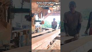 kayu bengkirai Kalimantan sawmill [upl. by Lechar]