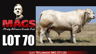 Lot 70 Lamont MG 371 S [upl. by Akehs99]