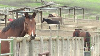 Large equestrian center to be built off Highway 246 between Buellton and Solvang [upl. by Eldwin]