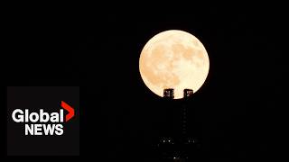 Moon gazing The first supermoon of the year lights up the night sky [upl. by Phippen]