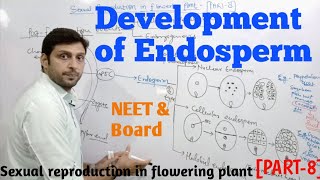 Endosperm development in plants endosperm class12th BIOVEDACLASSZ [upl. by Esoj508]