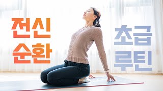 하루 두 번🧘🏻‍♀️꼭 해야하는 25분 전신순환 스트레칭 Ep12  초급  피로회복 림프순환 심신안정 독소제거 Whole body stretch [upl. by Olegnad79]