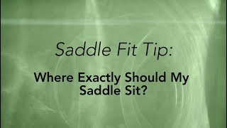 Where Should My Saddle Sit Fit Tip Courtesy of SaddleFit 4 Life [upl. by Yelnahs367]