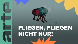 Warum können Insekten Wände hochkrabbeln  Eure Fragen  ARTE Family [upl. by Navac115]