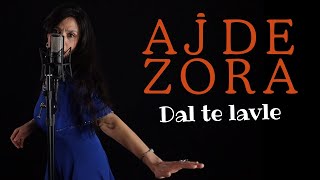 Ajde Zora Dal te lavle  Balkan Gipsy Music [upl. by Broder]