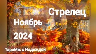 Стрелец ♐ ноябрь 2024 [upl. by Drus807]