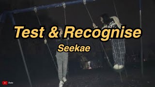 Seekae  test amp recognise flume rework  Lyrics [upl. by Nacim]