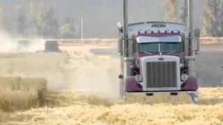 Idaho Wheat Harvest [upl. by Stasny]