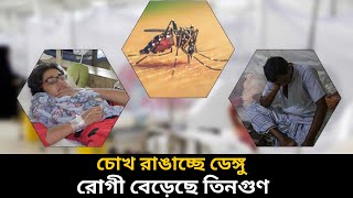 ভয়াবহ হচ্ছে ডেঙ্গু। হাসপাতালে রোগী বেড়েছে তিনগুন। dengue bangladesh [upl. by Eseeryt]