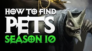 Diablo 3  HOW TO FIND PETS IN SEASON 10  MENAGERIST GOBLIN FARMING  PWilhelm [upl. by Pomfret729]