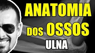 Acidentes ósseos da Ulna  Sistema ÓsseoEsquelético  VideoAula 075 [upl. by Iturhs87]