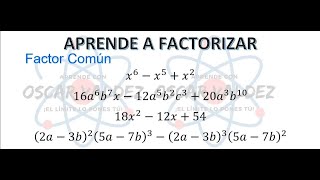 Aprende a Factorizar 1er Vídeo Factor común correcto [upl. by Nayrda]