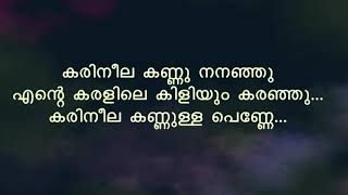 Karineela Kannulla Penne കരിനീലക്കണ്ണുള്ള പണ്ണ്  Song With Lyrics  Melodious Songs [upl. by Sugna]