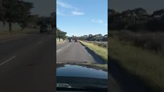 AMG Mercedes in full auto pilot mode today in traffic  travel greenvale ytshorts melbourne [upl. by Jeff136]