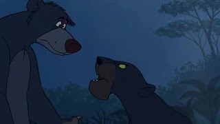 The Jungle Book ♪ Bagheera talks with Baloo about Mowgli HD ♥ Cartoon For Kids [upl. by Amery631]