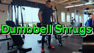 Dumbbell Shrugs 🏋🏽‍♂️ motivation bodybuilding dumbbell gym shoulderworkout fitness [upl. by Matthias]